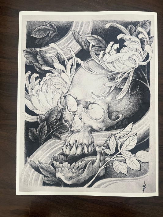 Chrysanthemum and Skull; Pencil series