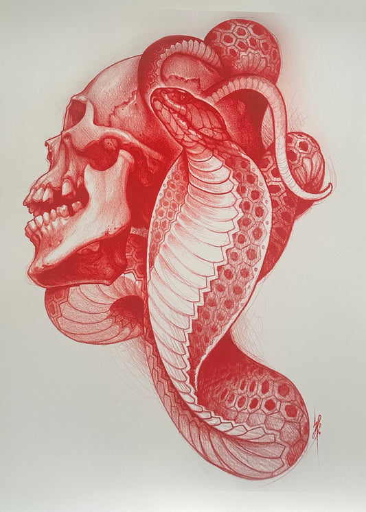 Red Skull and Snake Print